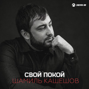 Свой покой by Шамиль Кашешов