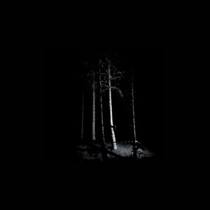 album cover: Fragments of Soaring Vessels