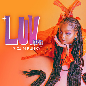 Luv (Remix)