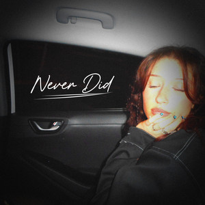 Never Did by Belle Malam