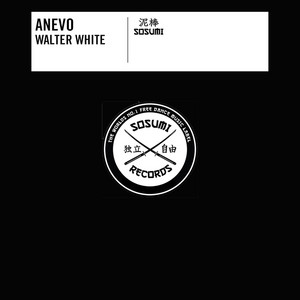 Walter White by Anevo
