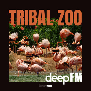 Tribal Zoo - Extended Mix by Deep FM