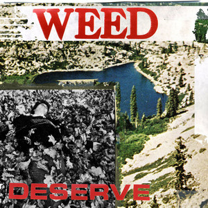 Set Me Back by Weed