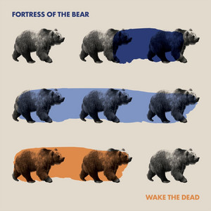 Something New by Fortress of the Bear