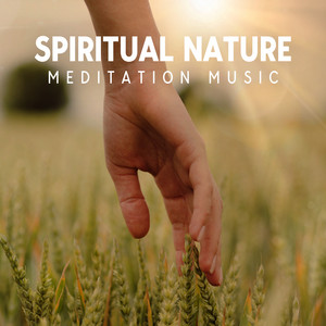 Spiritual Nature Meditation Music: Gentle Nature Sounds with Instrumental Music, Natural Therapy and Medicine Tones album