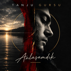 Anlaşamadık by Tanju Gursu