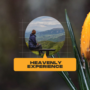 Heavenly Experience album