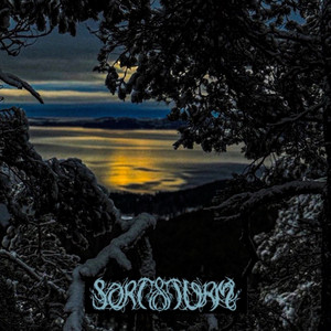 Ser Du Aasen by Sort Storm