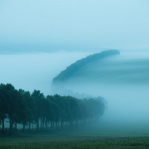 Running Out of Treeline by JALEN ALEXANDER HOLBROOKS JR