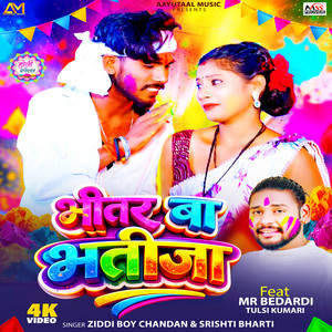 Bhitar Ba Bhatija by Ziddi Boy Chandan, Shristi Bharti