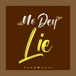 TushMusic - No Dey Lie