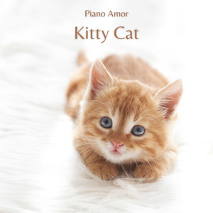 Kitty Cat