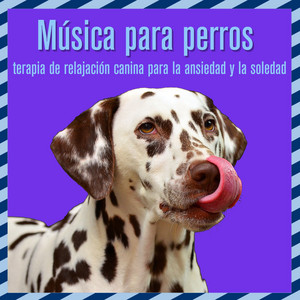 Relaxmydog & Dog Music Dreams - Música para perros