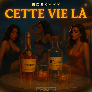 BDSKYYY - Cette vie là