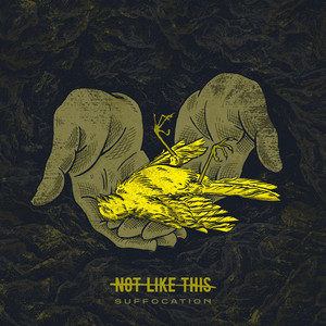 Broken Bodies by Not Like This