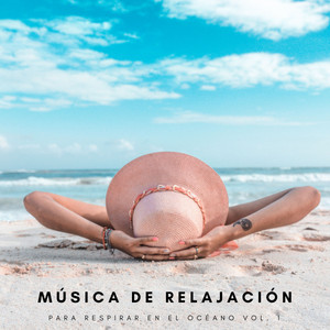 Música De Relajación Para Respirar En El Océano Vol. 1 album