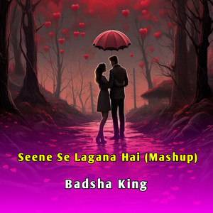 Badsha King - Seene Se Lagana Hai (Mashup)