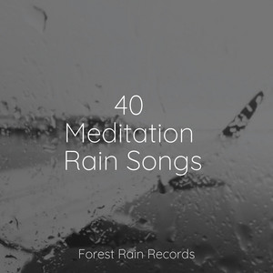 40 Meditation Rain Songs album