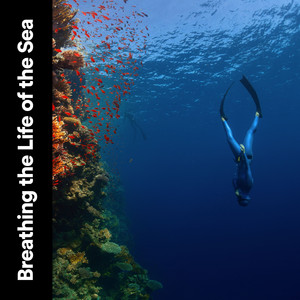 Breathing the Life of the Sea album