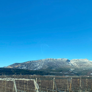 j'crois c'est 2019 (archive) by Yung Aeon