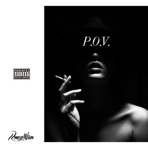 P.O.V. cover