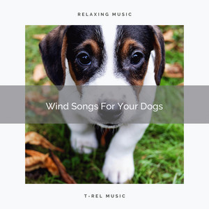 Wind Songs For Your Dogs album