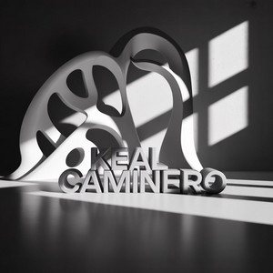 NO SOY SANTO by Keal Caminero