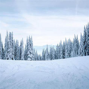 The Snowy Lights