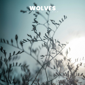 Wolves by Megan Bellefeuille