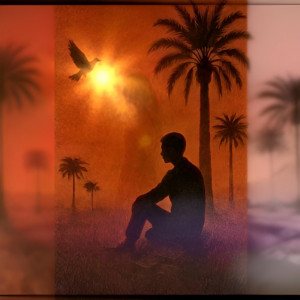 Sot Gomreeya | صوت قمرية by Mazin Hamid