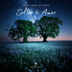 Soltar & Amar - Justo Como Se Sente
