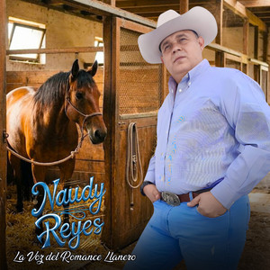 Amada Mia by Naudy Reyes la Voz del Romance Llanero