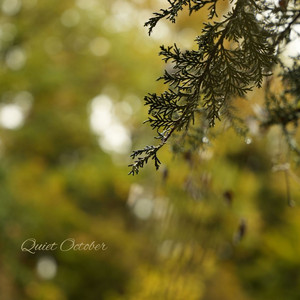 Quiet October by Mindy Chuang