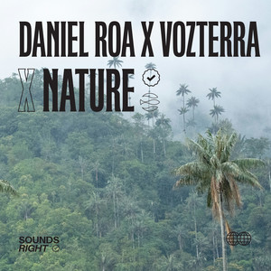 Rain and Distant Thunder on the Patio