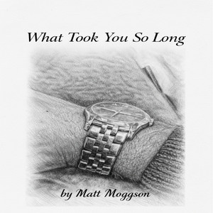 What Took You so Long - Album Mix by Matt Moggson