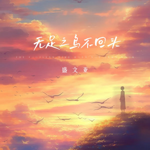 无足之鸟不回头 - Dj阿谭版 by 盛文亚, DJ阿谭