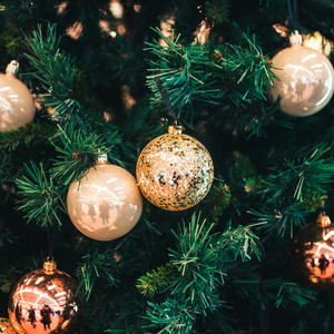 Put All The Trees Together For Christmas album