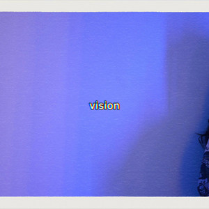 Vision
