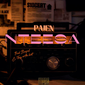Pajen - Nteesa