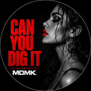 CAN YOU DIG IT by MDMK