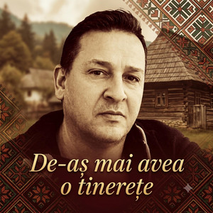 De-aș mai avea o tinerețe by Costel Danalache
