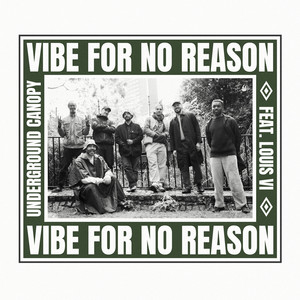 Vibe For No Reason by Underground Canopy, Louis VI