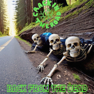 Crack In The Road - Back From The Dead