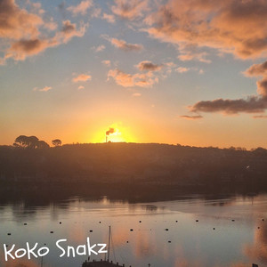 Generic Lofi Song by KoKo Snakz