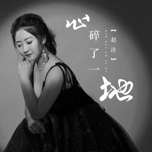 心碎了一地 by 赵洋