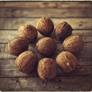 Soft Embers - Coconut Shells and Sunday Fights