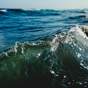 Pelagic by Frequent Cs