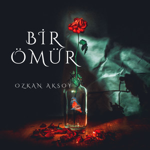 Bir Ömür
