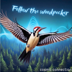 Follow the Woodpecker by Cosmic Connection