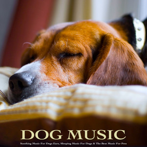 Dog Music: Soothing Music For Dogs Ears, Sleeping Music For Dogs & The Best Music For Pets